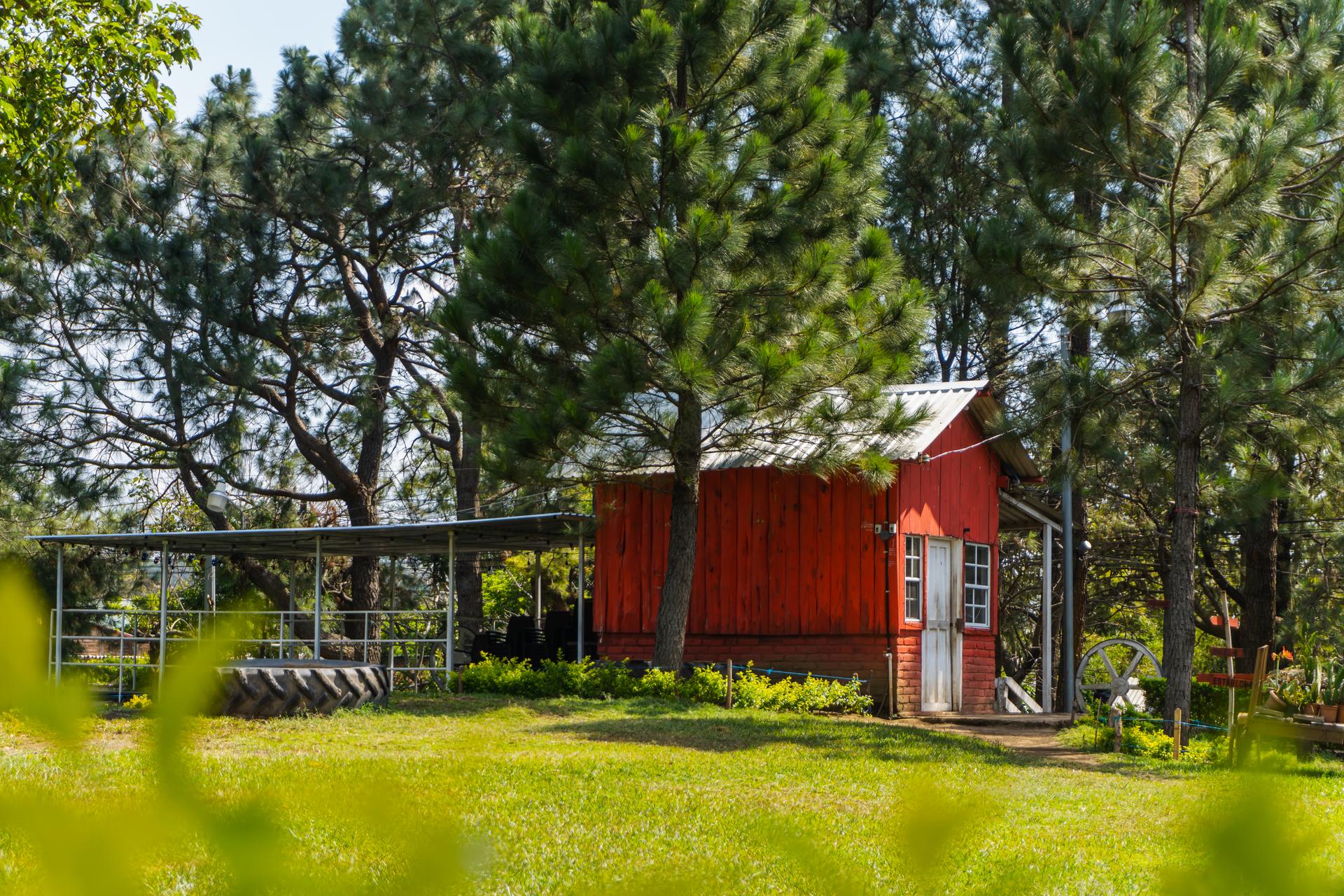 Flores del recorrido apícola