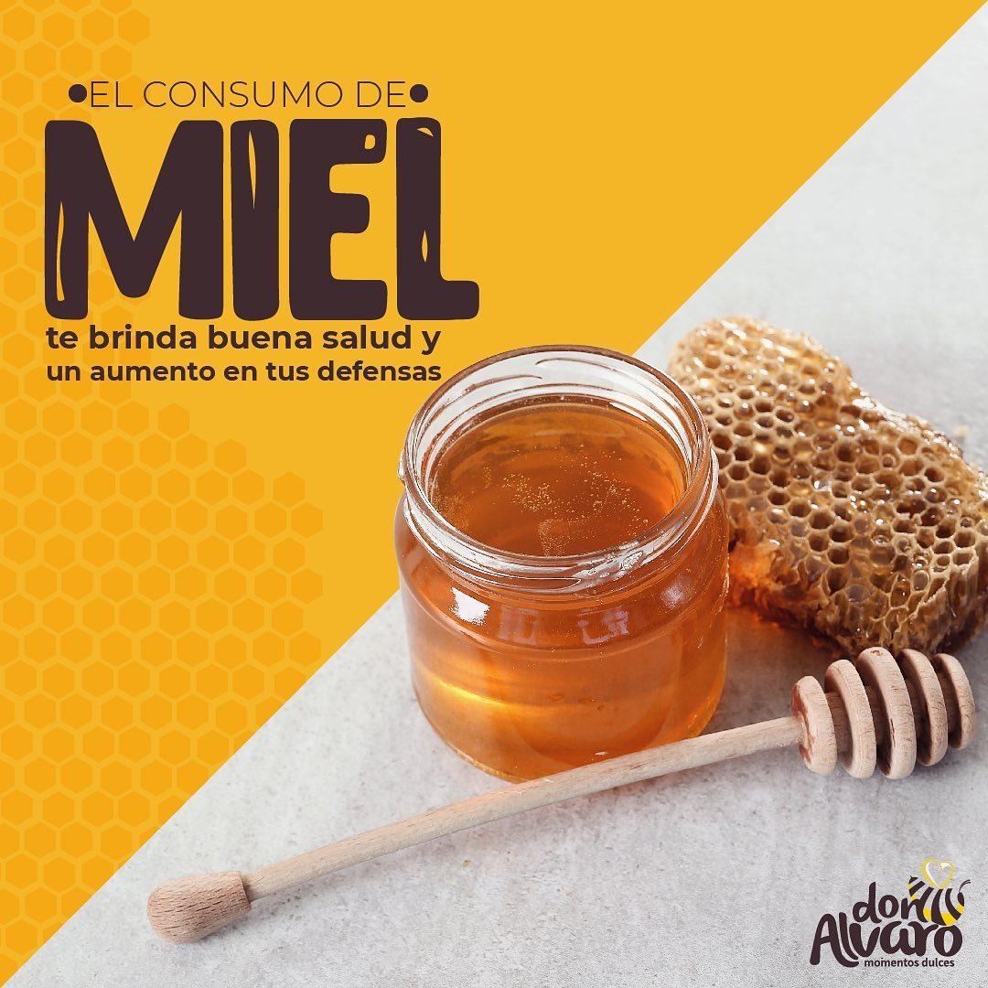 Apicultura Don Alvaro