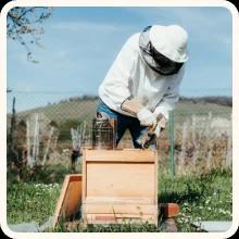 Miel de El Salvador