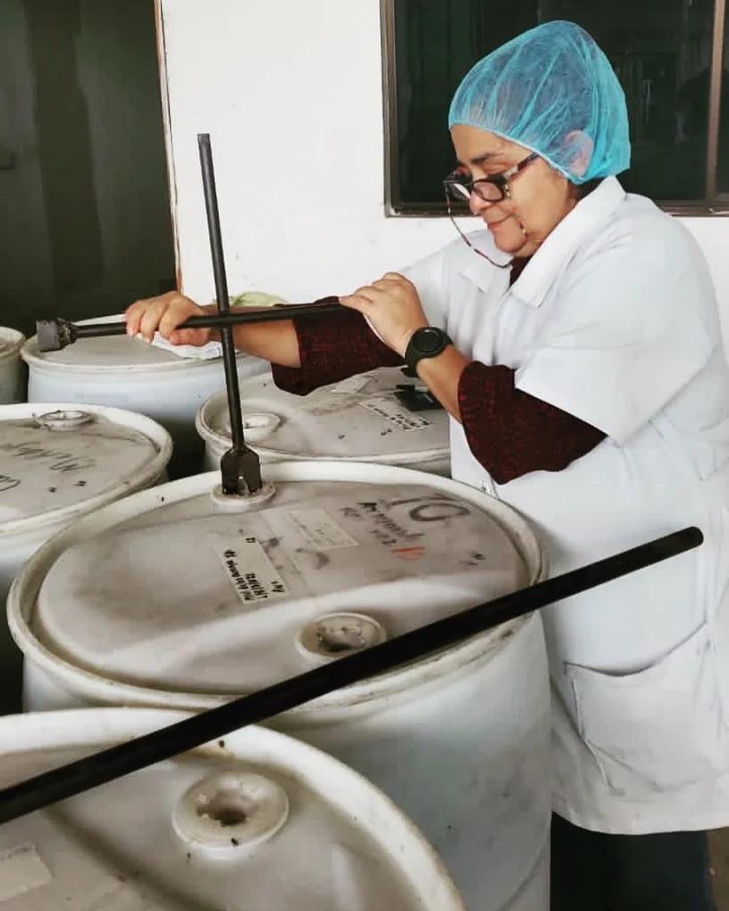 Equipo de producción de miel